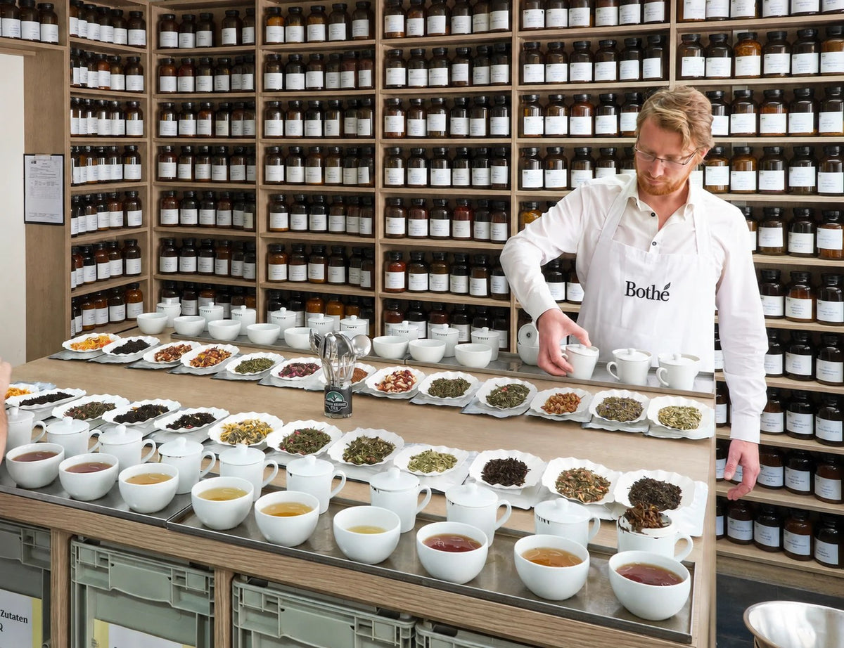 Atelier de dégustation : rangées de thés et d'infusions préparés pour la sélection Bothé